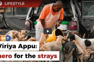 A man on a mission to feed Gombak’s stray dogs