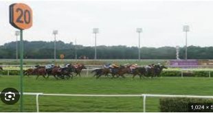 Singapore ends 181 years of horse racing to make way for homes